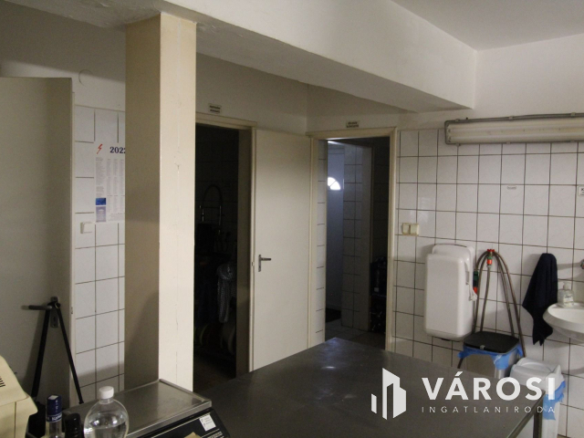 Békéscsabai paradicsom