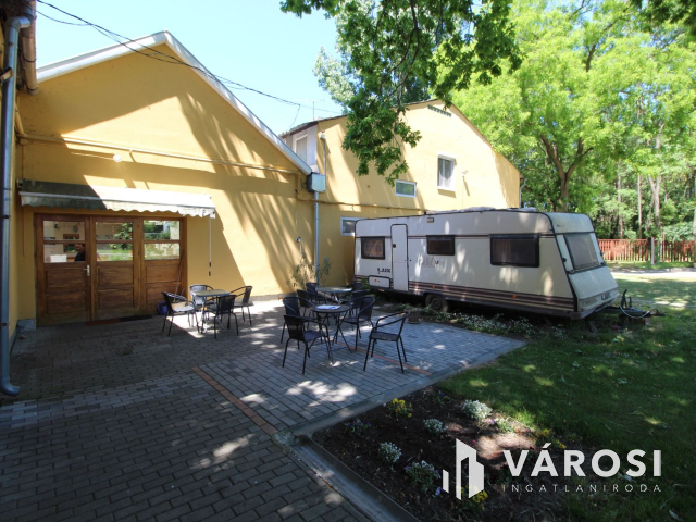 Békéscsabai paradicsom