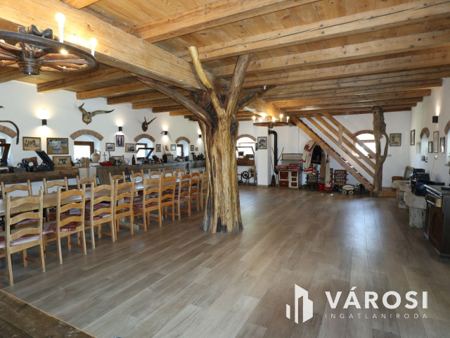 Új építésű tanya eladó