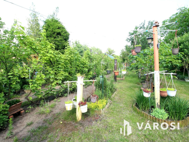 Édenkert Szeged népszerű üdülő övezetében