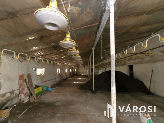 Két generációs gazdálkodásra alkalmas tanya