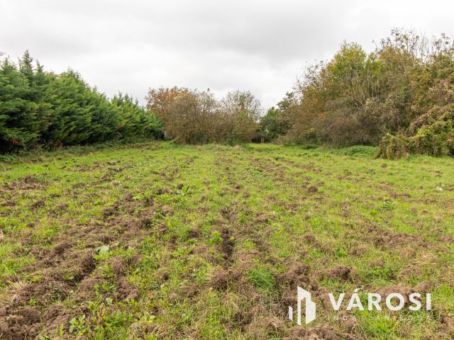 Akár 5 telek kialakítására alkalmas belterületi telek