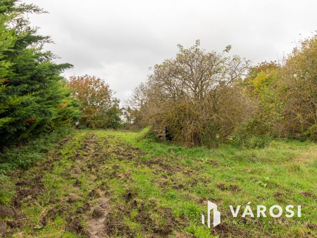 Akár 5 telek kialakítására alkalmas belterületi telek