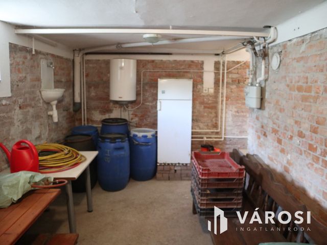 Szatymazi családi ház erdővel!