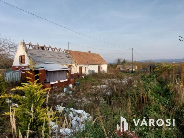 Bazsi szőlő hegyen 1,75 ha terület lakóépülettel eladó