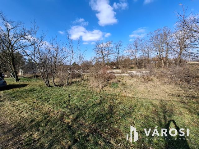 Jó fekvésű építési telek eladó Szőcön