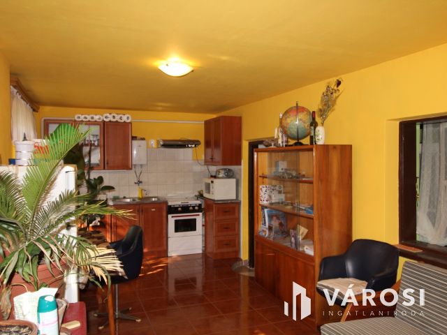 Komfortos tanya a Csongrád-bokrosi szőlővidéken