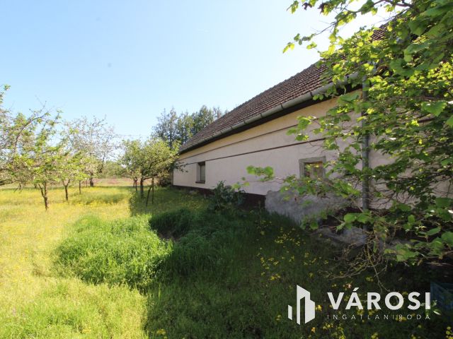 Komfortos tanya a Csongrád-bokrosi szőlővidéken