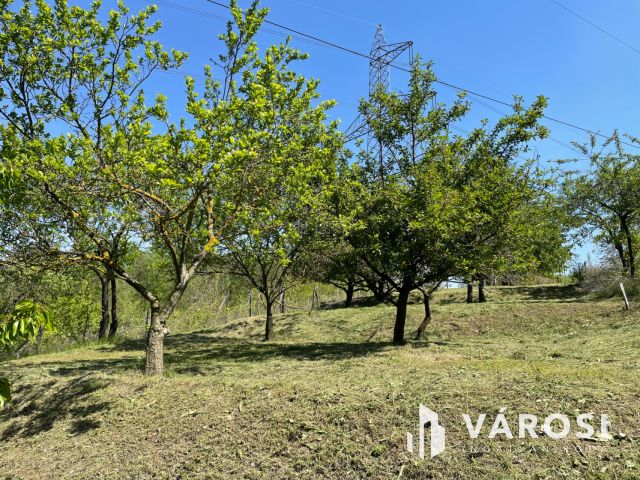 Természetközeli  kis ház nagy kerttel, horgásztó közelében