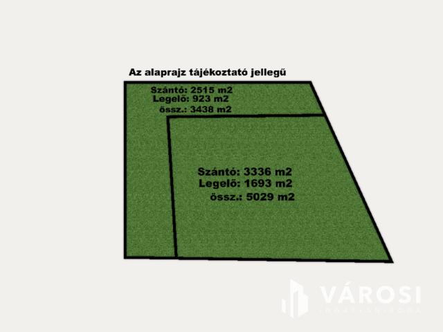 Domaszéki földterület, fákkal díszített