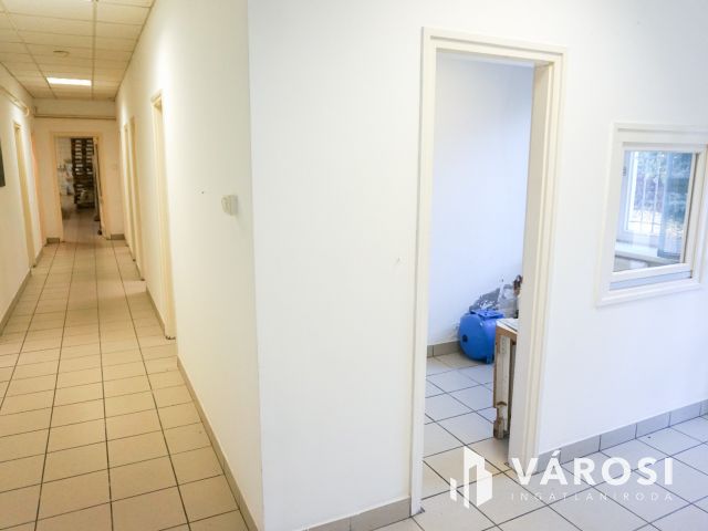 Élelmiszer feldolgozó ár alatt eladó!