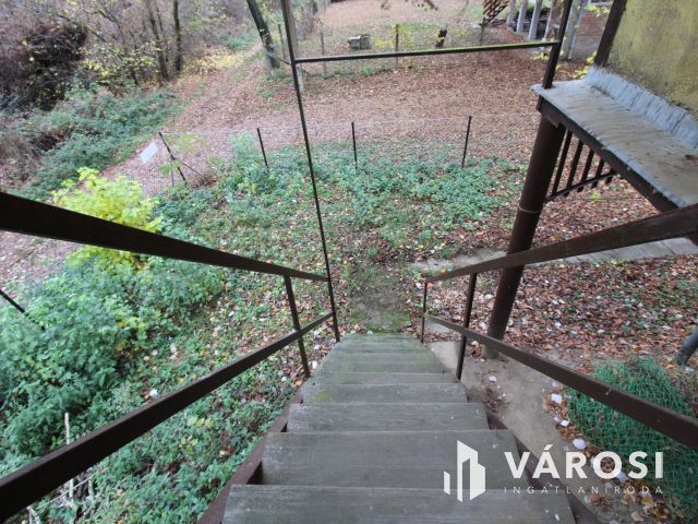 Mártélyi csendélet