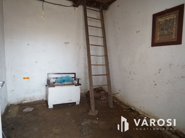 Természetközeli, szomszédmentes családi ház Bucsután!