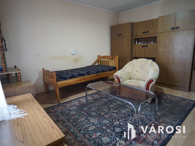 Teleki utcában, udvari lakás kis zöldterülettel