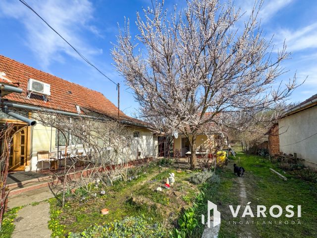 3 szobás családi ház Máriafalván