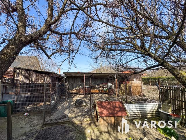 3 szobás családi ház Máriafalván