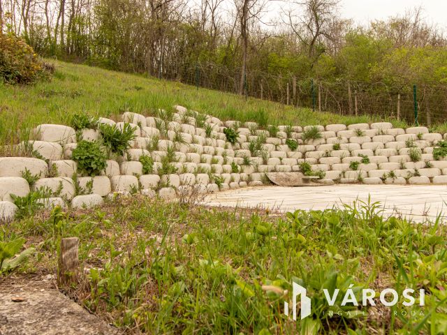 Zártkerti telek vízzel + árammal  Máriahalmon– ne hagyd ki!